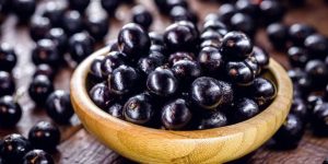 251793143 jabuticaba1