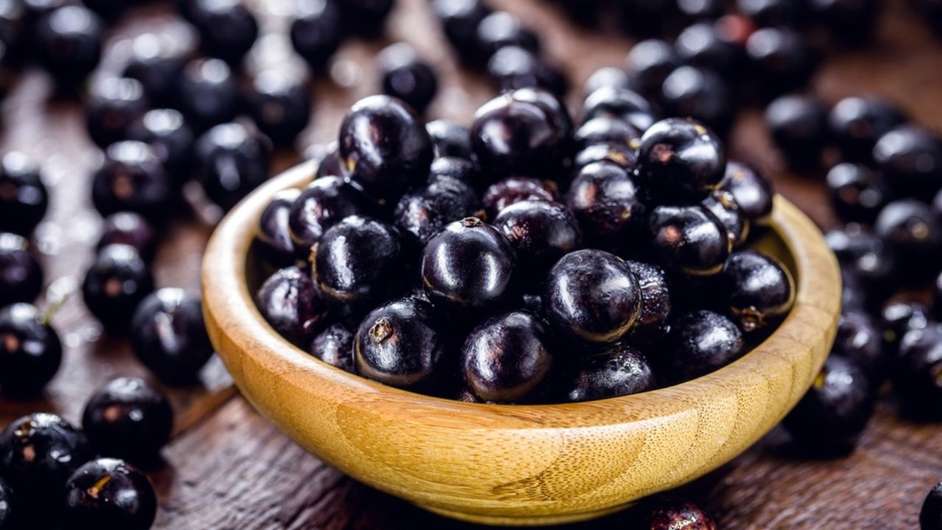 251793143 jabuticaba1